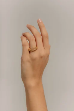 Anillo Geiser Rosa